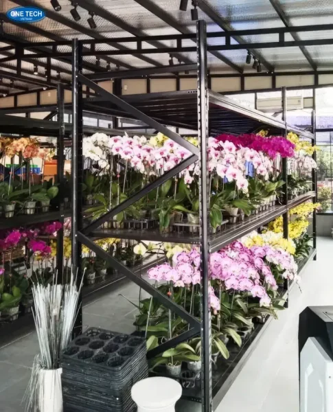 Có mặt bằng kinh doanh gì? - Kinh doanh hoa tươi thời vụ – Lợi nhuận “bùng nổ” dịp lễ