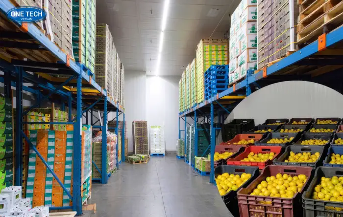 Kệ kho ngành nông sản - Giải pháp thông minh, khoa học cho kho hàng