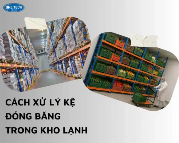 Cách xử lý kệ đóng băng trong kho lạnh hiệu quả, an toàn